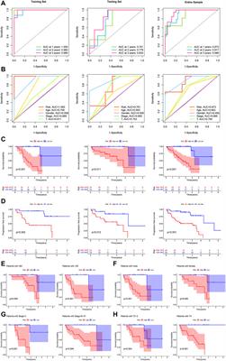 TRP channel-related LncRNAs, AC092535.4 and LINC01637, as novel prognostic biomarkers for uveal melanoma